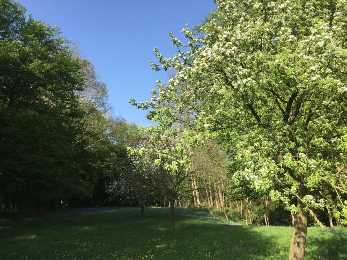 Confortable Duplex Au Coeur De La Campagne Picarde A 1H De Paris Biermont Zewnętrze zdjęcie